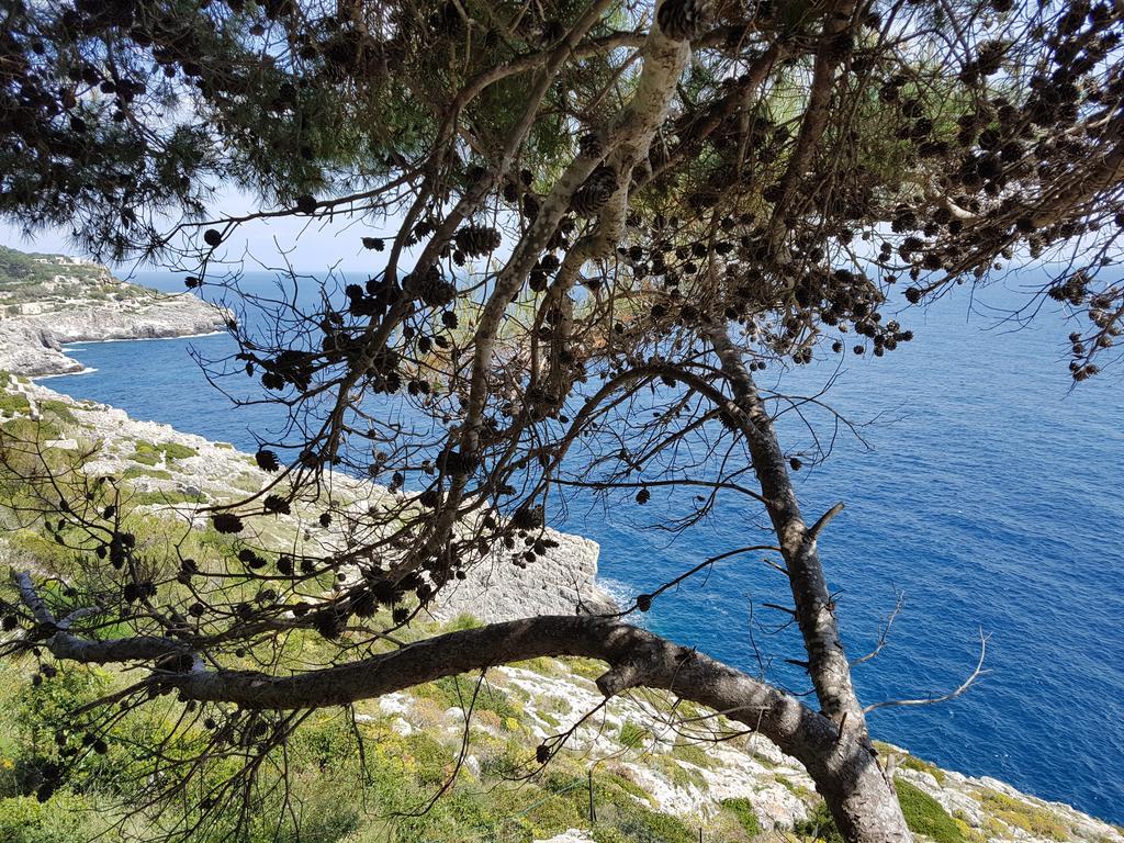 Villa Bocca Del Pozzo Gagliano del Capo Exteriér fotografie