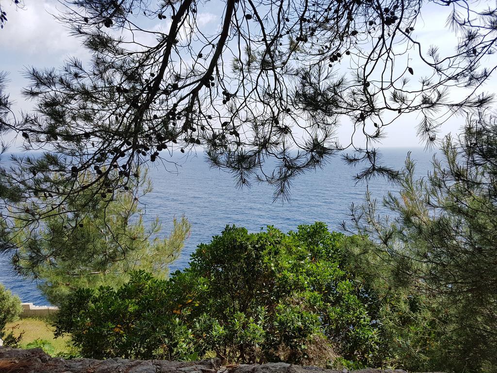 Villa Bocca Del Pozzo Gagliano del Capo Exteriér fotografie