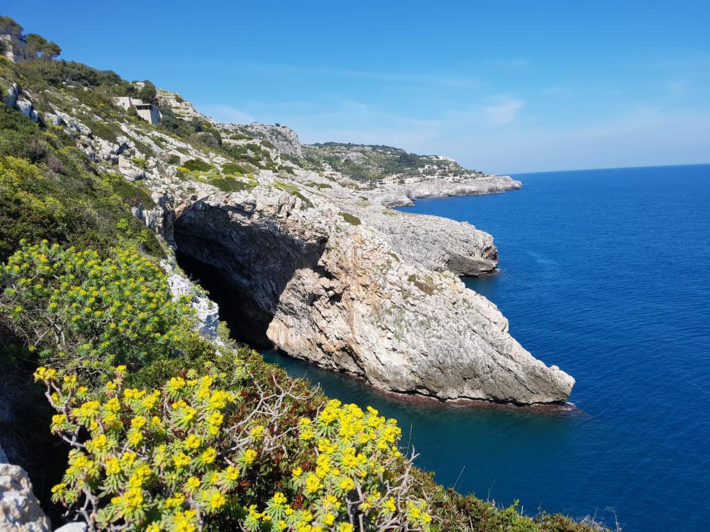Villa Bocca Del Pozzo Gagliano del Capo Exteriér fotografie