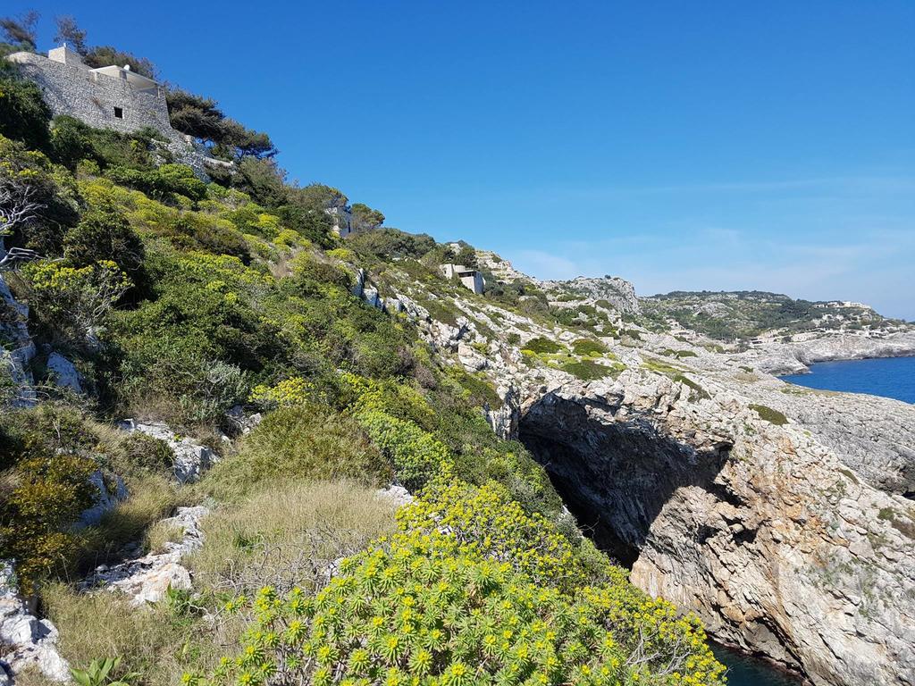 Villa Bocca Del Pozzo Gagliano del Capo Exteriér fotografie