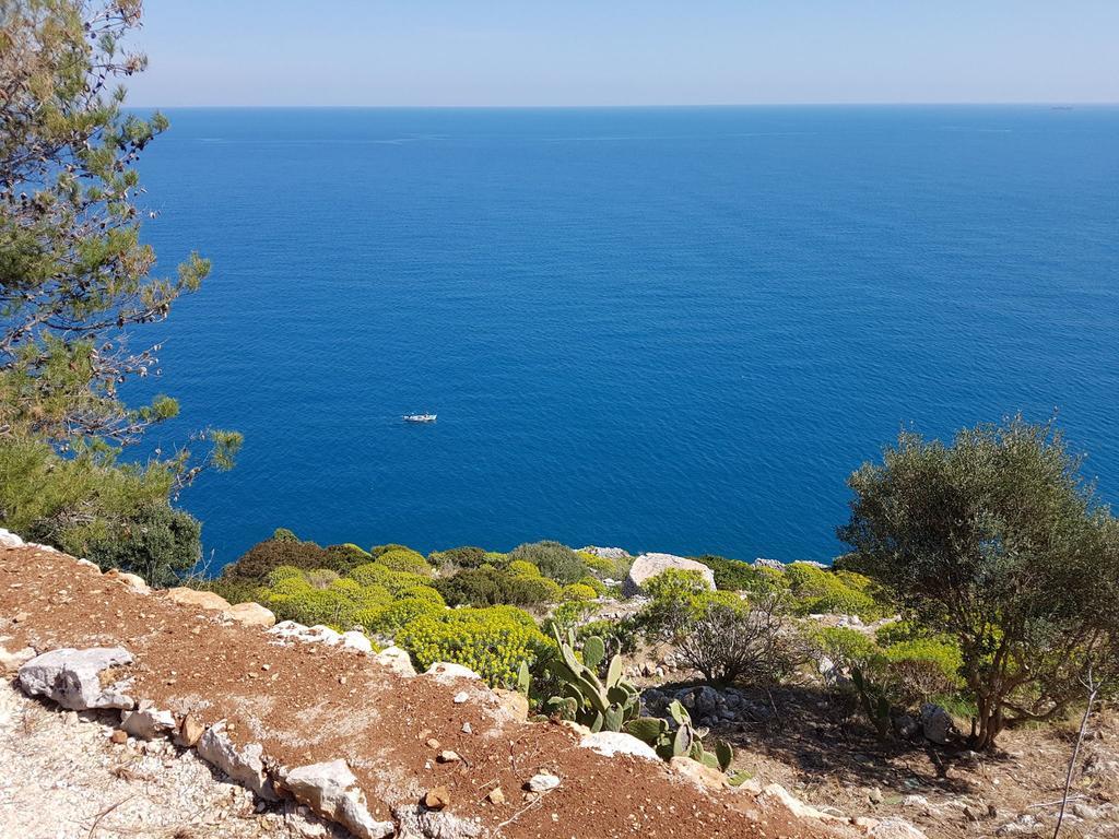 Villa Bocca Del Pozzo Gagliano del Capo Exteriér fotografie